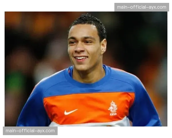 范德维尔心声：足球生涯如监狱，从未享受过任何一刻